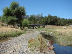 MA Co 450 Bridge Project